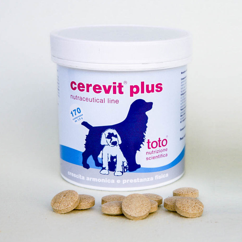 Cerevit Plus