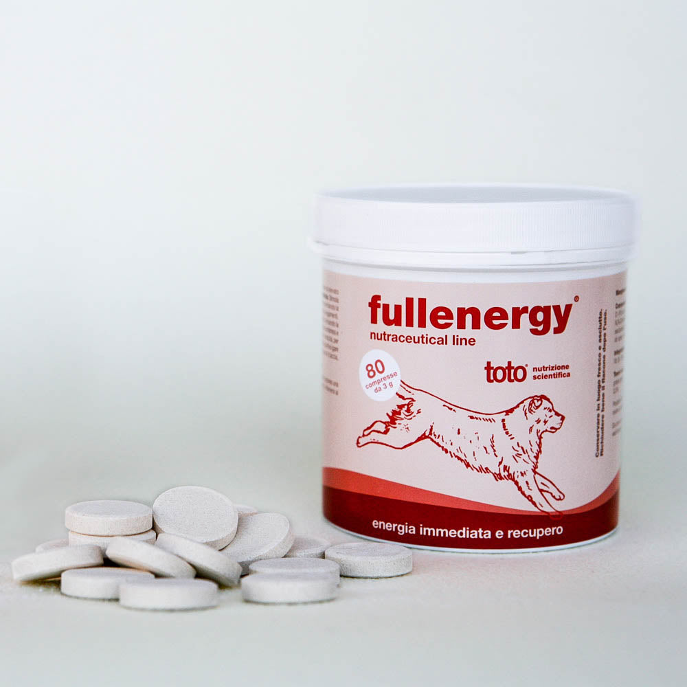 Fullenergy